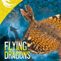 Flying_Dragons